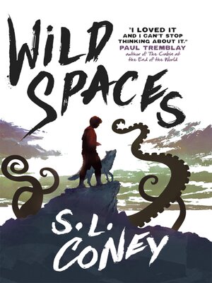 cover image of Wild Spaces
